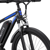 City Bike C29