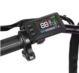 SAM-E-BIKE  handlich und leicht Reifen halbfett 20 x 2,15 starker Motor 450 W  mit Daumenregler