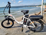 DAS SAM-E-BIKE  handlich und leicht Reifen halbfett 20 x 2,15 starker Motor 450 W  mit Daumenregler