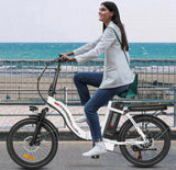 DAS SAM-E-BIKE  handlich und leicht Reifen halbfett 20 x 2,15 starker Motor 450 W  mit Daumenregler
